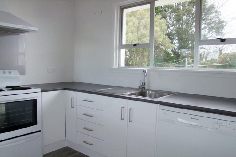 Photo of property in 217 Union Street, Milton, 9220