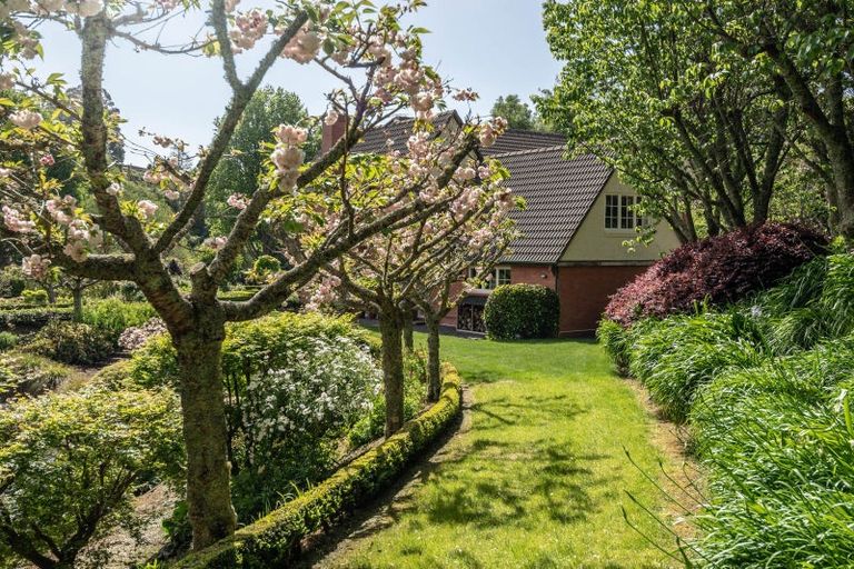 Photo of property in 115 Te Awa Road, Tamahere, Hamilton, 3283