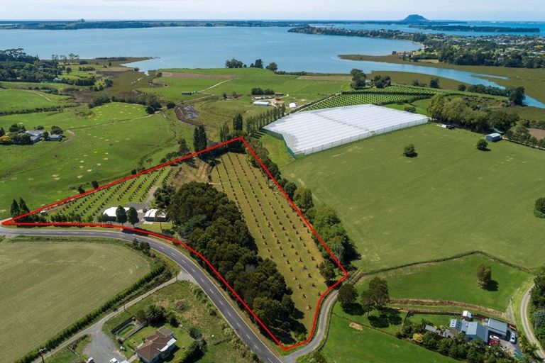 Photo of property in 196 Pahoia Road, Whakamarama, Tauranga, 3172