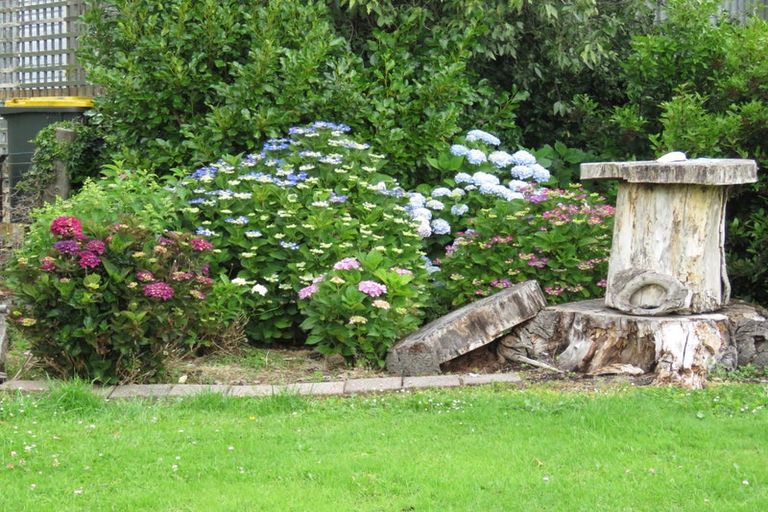 Photo of property in 35 Bushyhill Street, Tapanui, 9522