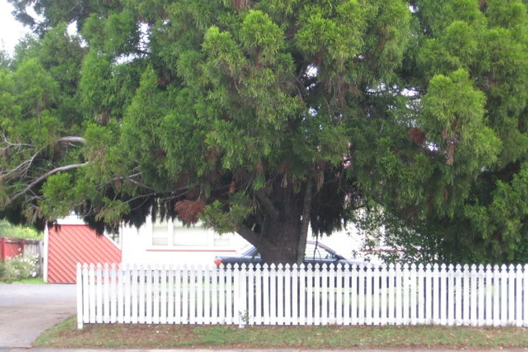 Photo of property in 36 Swanson Road, Henderson, Auckland, 0610