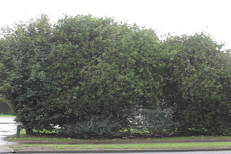 Photo of property in 60 Settlement Road, Papakura, 2110