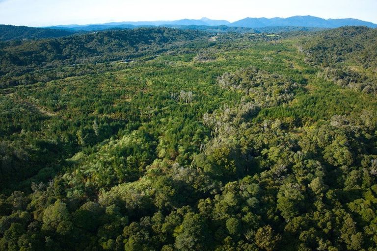 Photo of property in 330 Rutherglen Road, Marsden, Greymouth, 7805