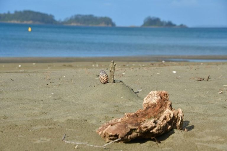 Photo of property in 15 Jackson Crescent, Mahurangi East, Warkworth, 0982