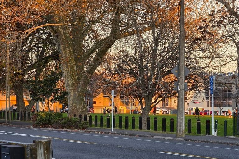 Photo of property in 62 Willoughby Street, Whitiora, Hamilton, 3200