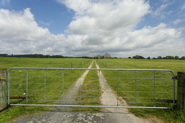 Photo of property in 386 East Road, Reporoa, 3081