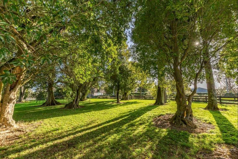 Photo of property in 26 Wakefield Road, Levin, 5571