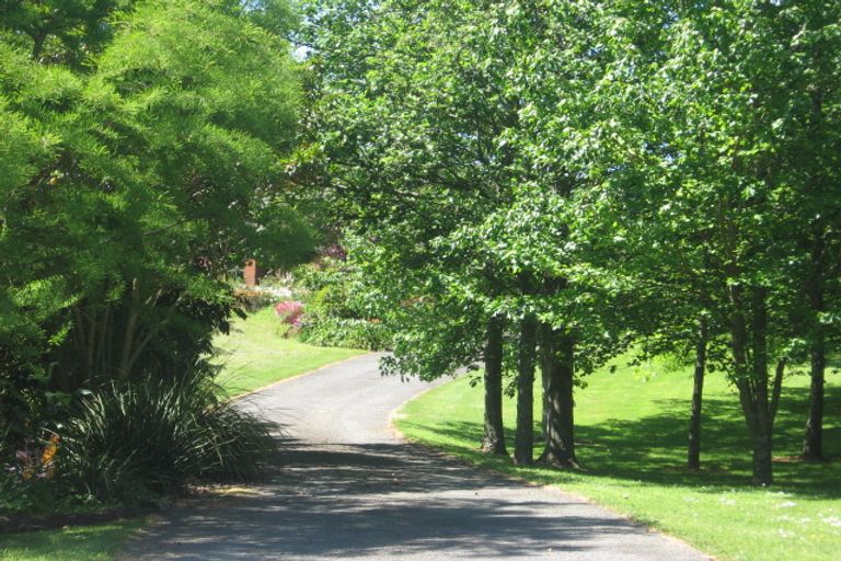 Photo of property in 137 Munro Road, Minden, Tauranga, 3179