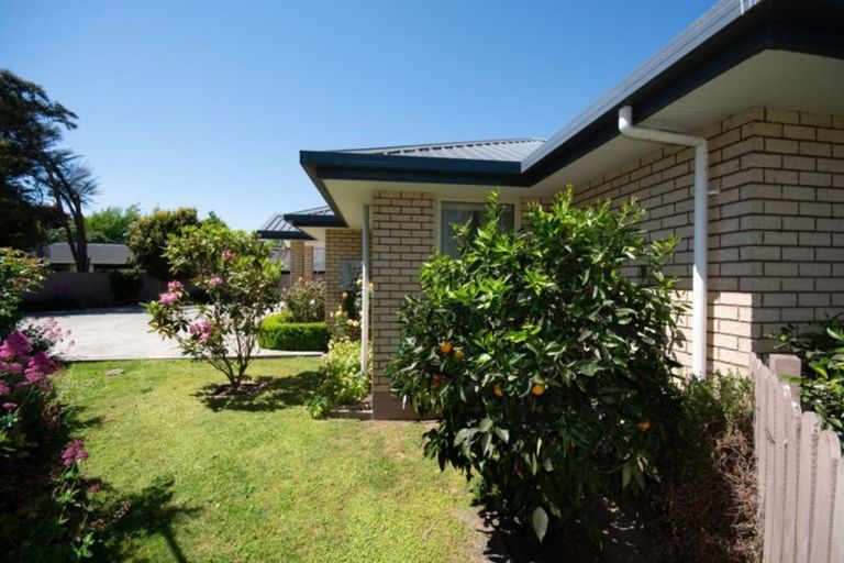 Photo of property in 164b Budge Street, Riversdale, Blenheim, 7201
