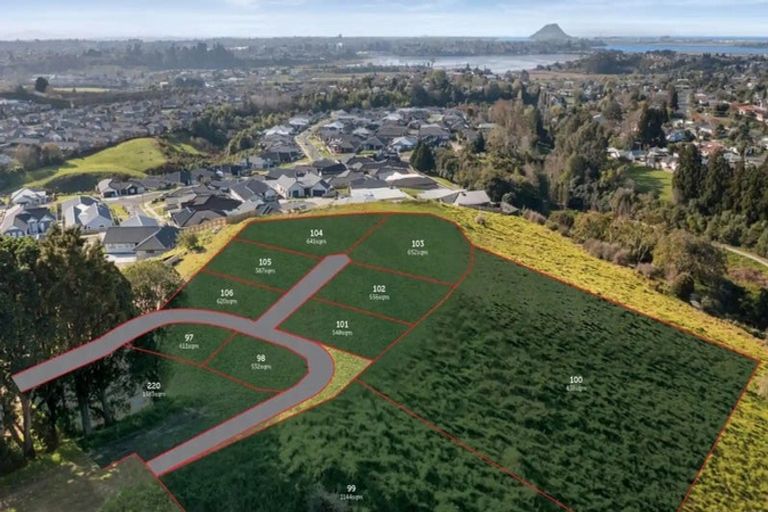 Photo of property in 63 Carmen Way, Ohauiti, 3112