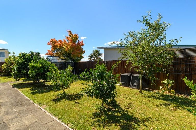 Photo of property in 17 Hairini Street, Hairini, Tauranga, 3112