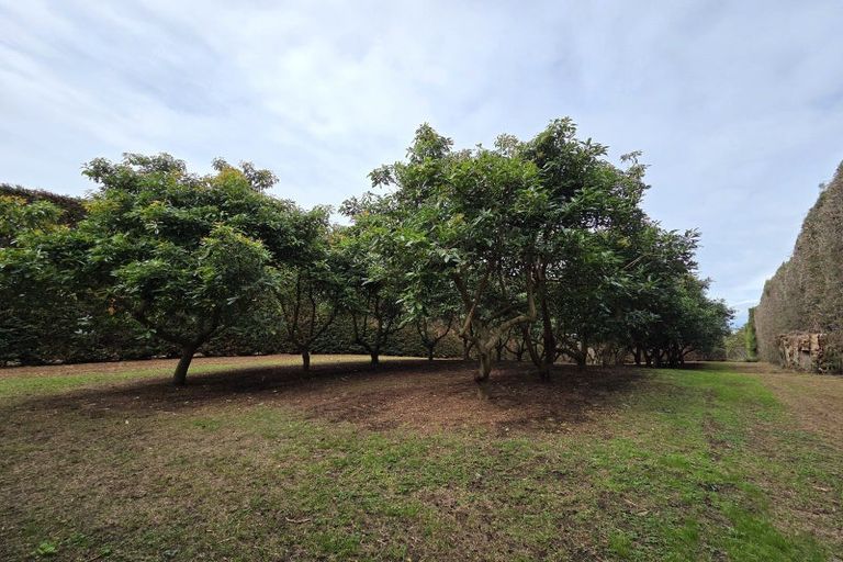 Photo of property in 244 Beach Road, Katikati, 3178