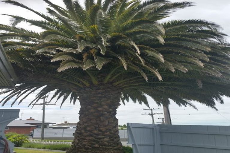 Photo of property in 30 Kent Street, Marchwiel, Timaru, 7910