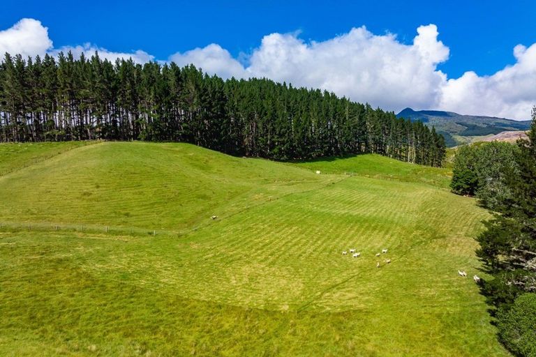 Photo of property in 1941 Tangowahine Valley Road, Tangowahine, Dargaville, 0372
