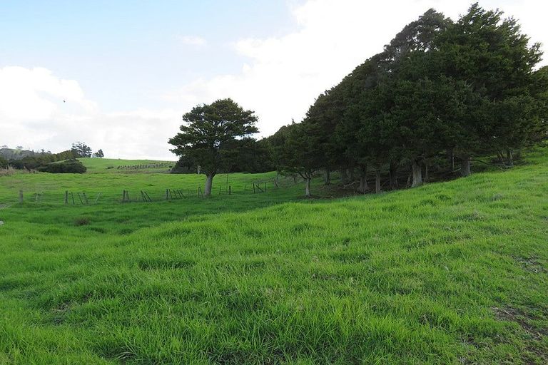 Photo of property in 300 Arapaoa Road, Tinopai, 0593