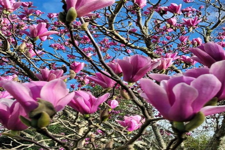 Photo of property in 376 Neudorf Road, Upper Moutere, 7175