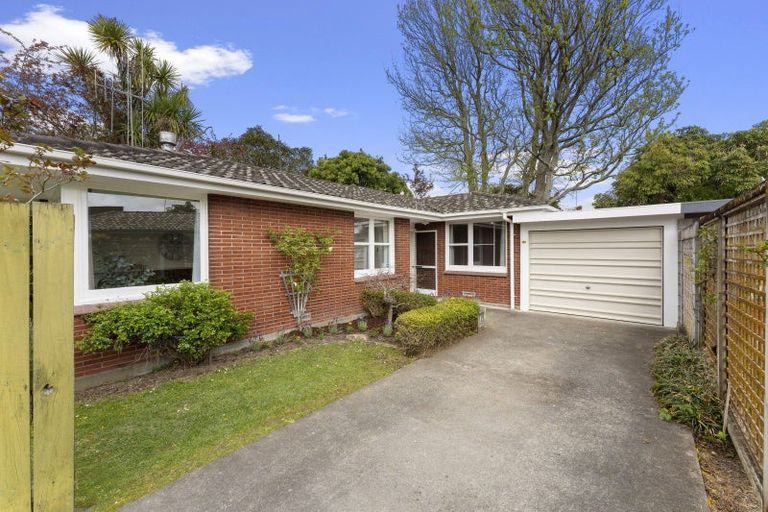 Photo of property in 252a Victoria Avenue, Hokowhitu, Palmerston North, 4410