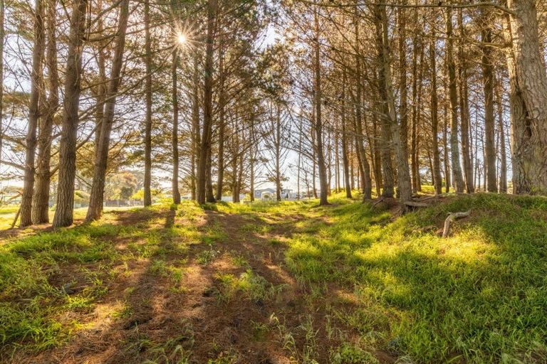 Photo of property in 9 Ripa Street, Tangimoana, 4822