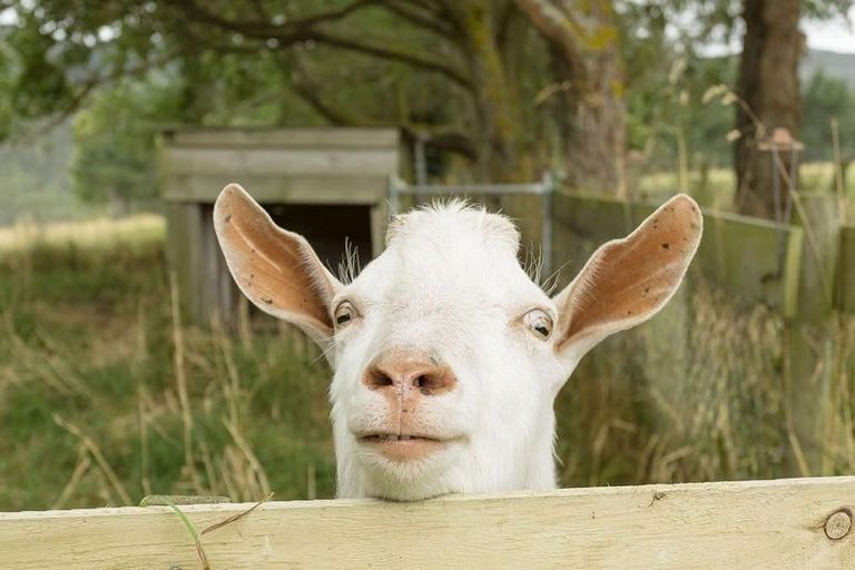 Photo of property in 61 Short Cut Road, Waitati, 9085