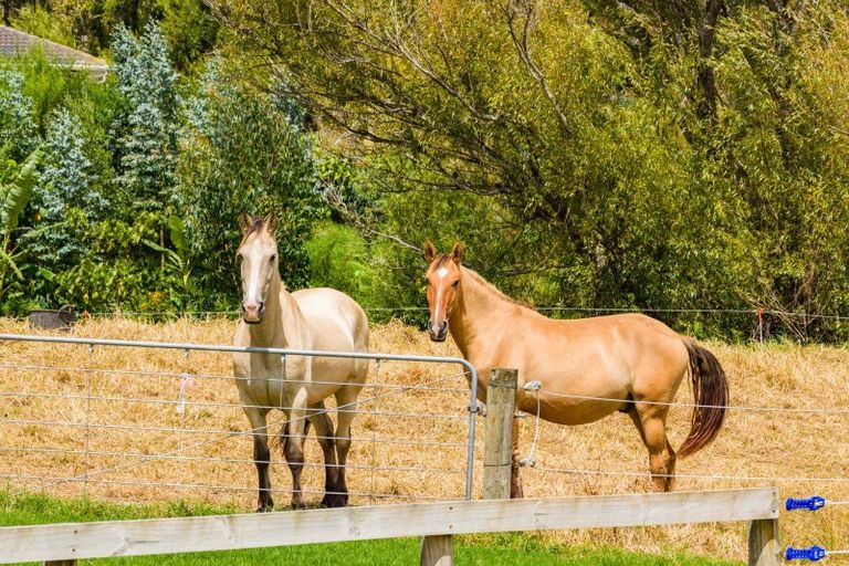 Photo of property in 209 Doctors Hill Road, Maungaturoto, 0588