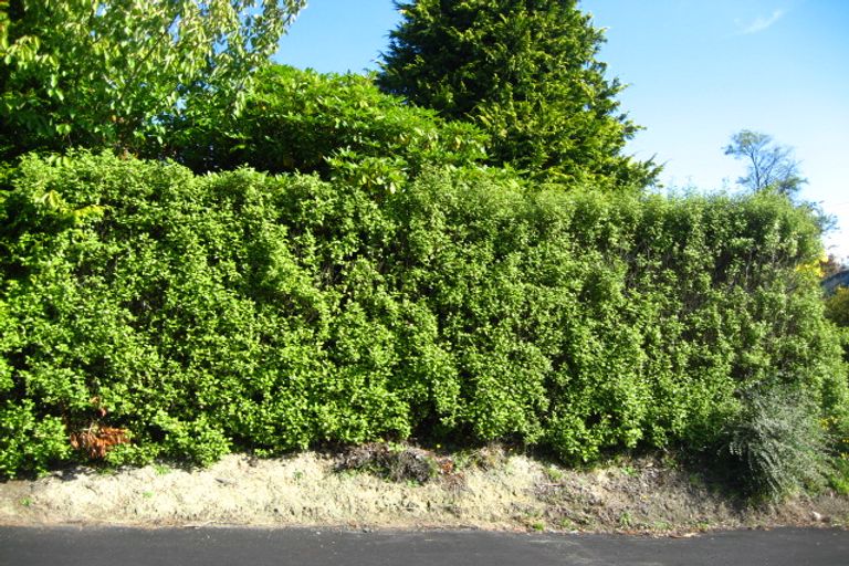 Photo of property in 30 Montague Street, North East Valley, Dunedin, 9010