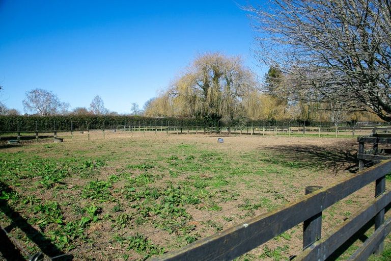 Photo of property in 49 Racecourse Road, Cambridge, 3493