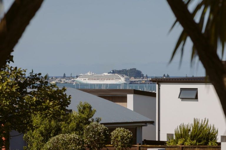 Photo of property in 62b Milton Road, Otumoetai, Tauranga, 3110