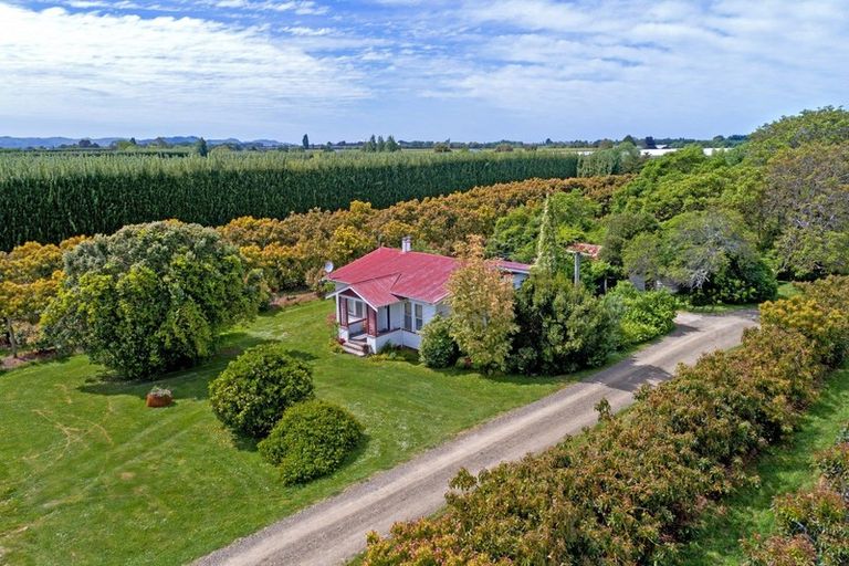 Photo of property in 341 Wharerata Road, Matawhero, Gisborne, 4071