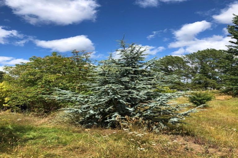 Photo of property in 42-44 Roseness Street, Palmerston, 9430