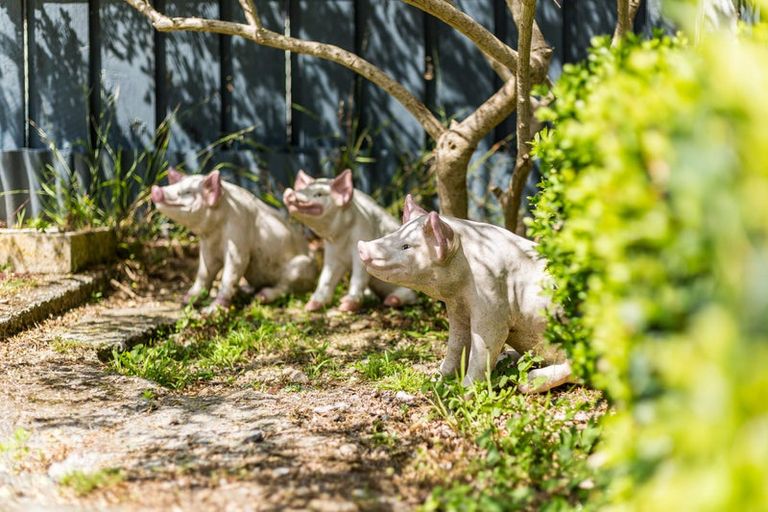 Photo of property in 19 Clyma Street, Elderslea, Upper Hutt, 5018