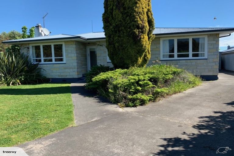 Photo of property in 1002 Totara Street, Mahora, Hastings, 4120