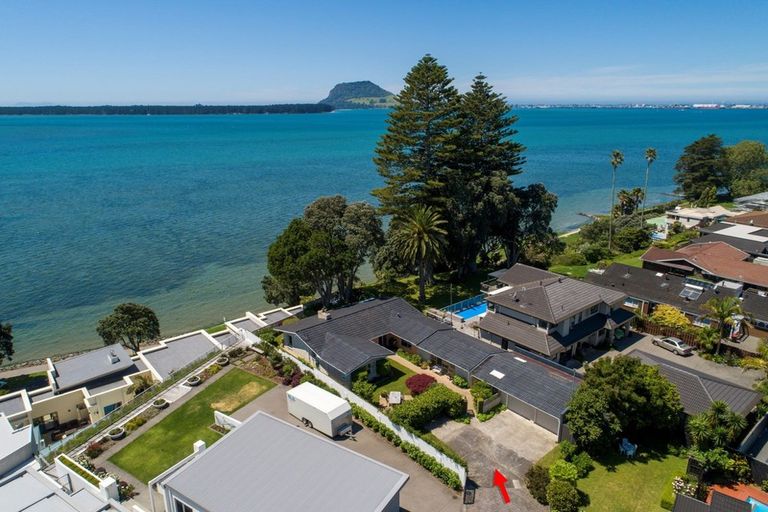Photo of property in 41 Woods Avenue, Matua, Tauranga, 3110