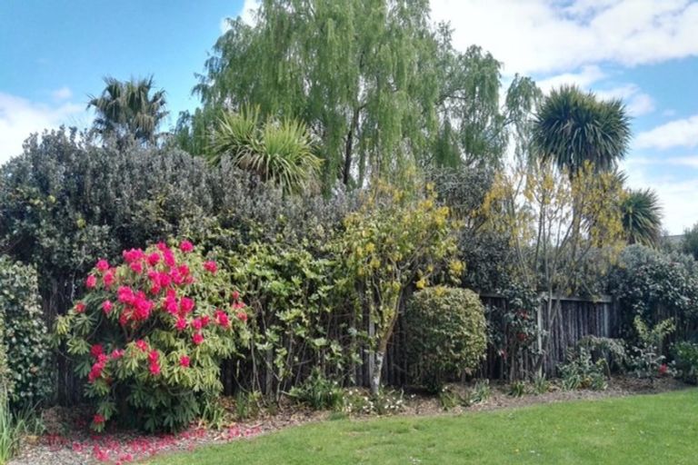 Photo of property in 40 Malcolm Street, Martinborough, 5711