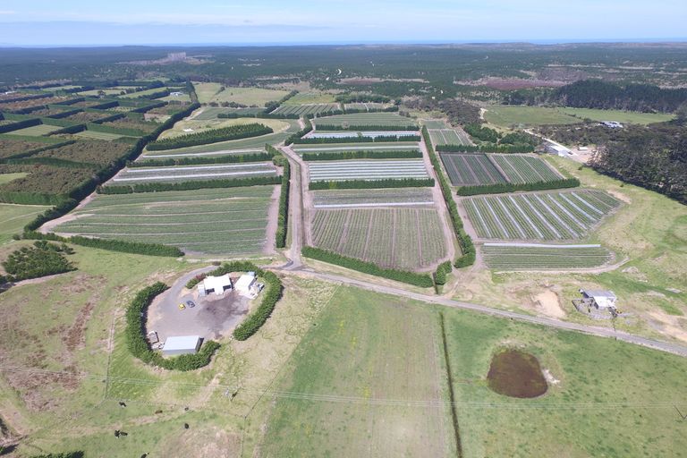 Photo of property in 3167 State Highway 1, Pukenui, Kaitaia, 0484