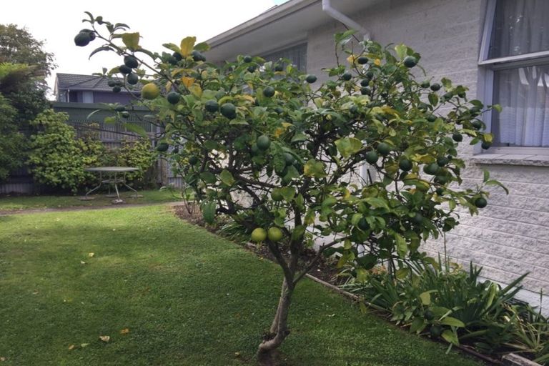 Photo of property in 52 Queens Grove, Hutt Central, Lower Hutt, 5010