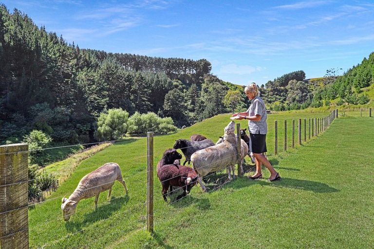 Photo of property in 603f State Highway 2 West, Pikowai, Whakatane, 3194