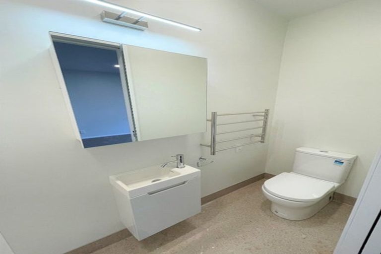 Photo of property in Aniva Terrace, 18 Ferguson Street, Newtown, Wellington, 6021