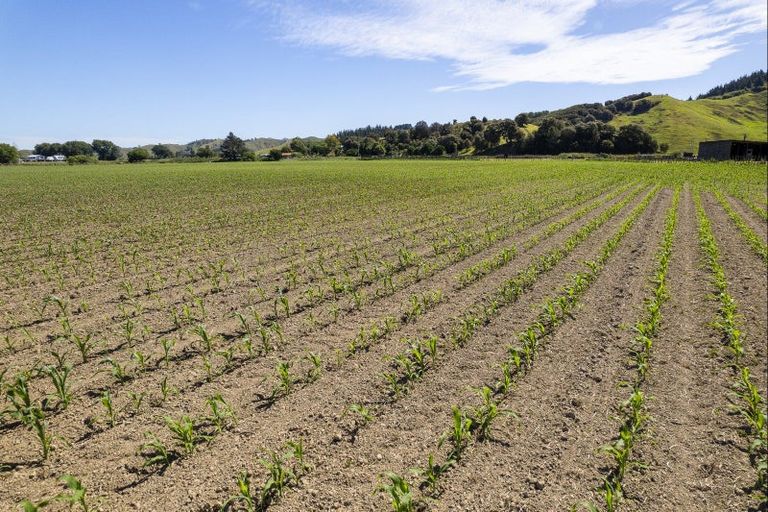 Photo of property in 622 Lavenham Road, Waituhi, Gisborne, 4072