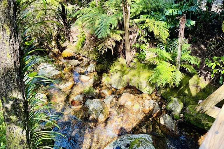 Photo of property in 600 Buffalo Road, Coromandel, 3506