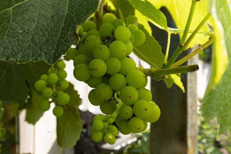 Photo of property in 70 Great South Road, Huntly, 3700