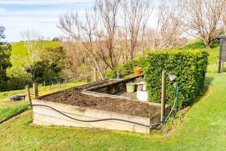 Photo of property in 16 Nikau Lane, Maungaturoto, 0520