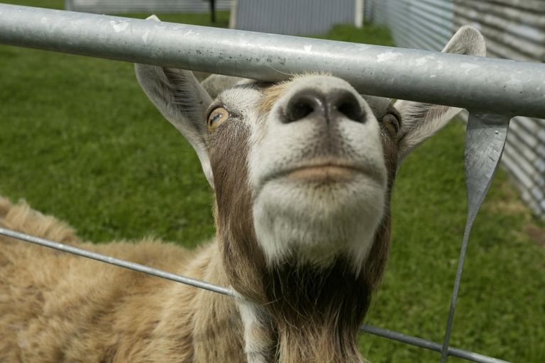 Photo of property in 386 East Road, Reporoa, 3081