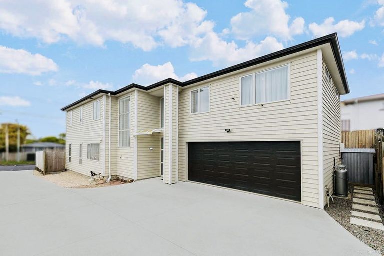 Photo of property in 8 Harrington Road, Henderson, Auckland, 0610