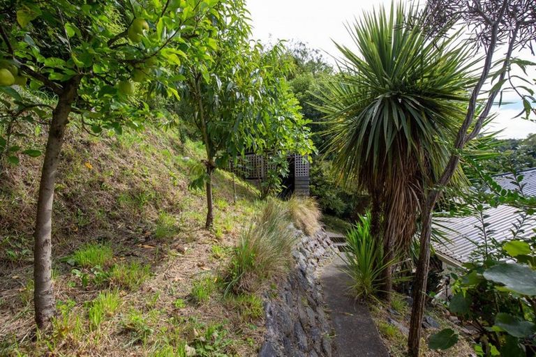 Photo of property in 17 Miro Street, The Brook, Nelson, 7010