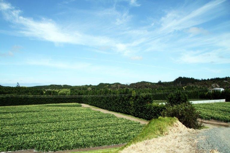 Photo of property in 3167 State Highway 1, Pukenui, Kaitaia, 0484