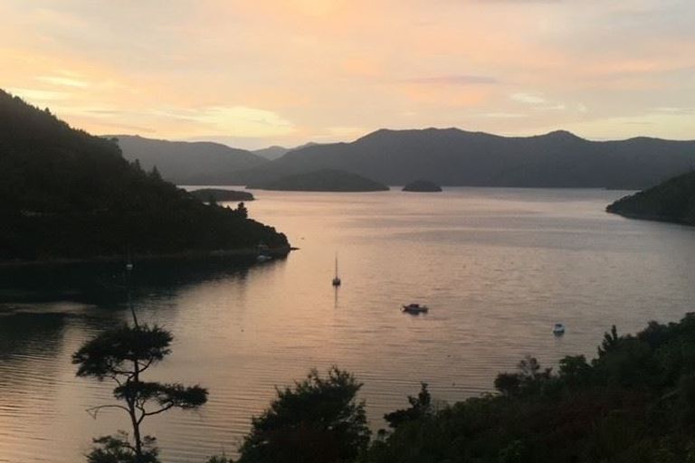 Photo of property in 619 Port Underwood Road, Whatamango Bay, Picton, 7281