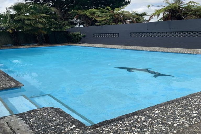 Photo of property in 44 Tomin Road, Glenview, Hamilton, 3206