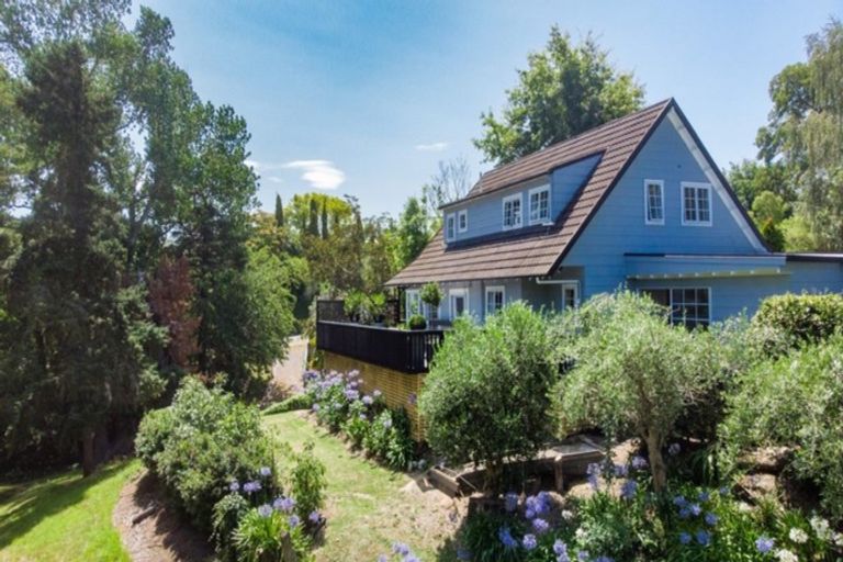 Photo of property in 40 Tanner Street, Havelock North, 4130