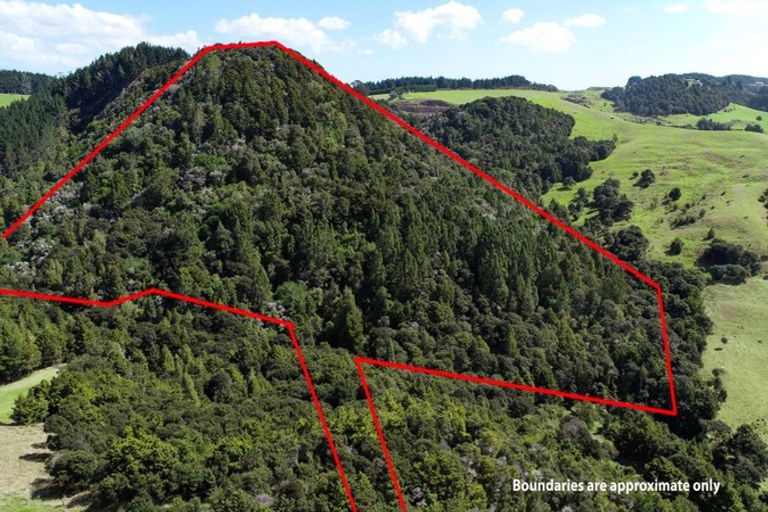 Photo of property in 163a Neems Road, Tinopai, Matakohe, 0593