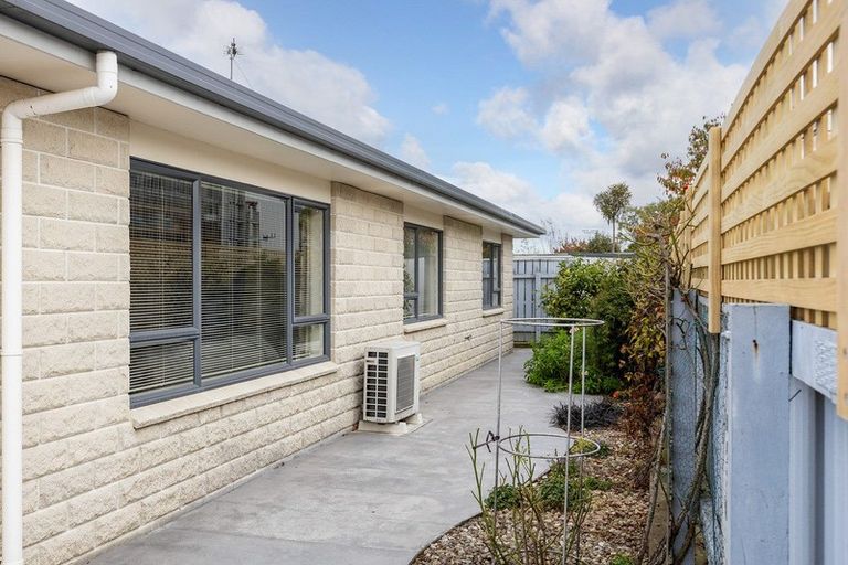 Photo of property in 6a Bunny Street, Masterton, 5810